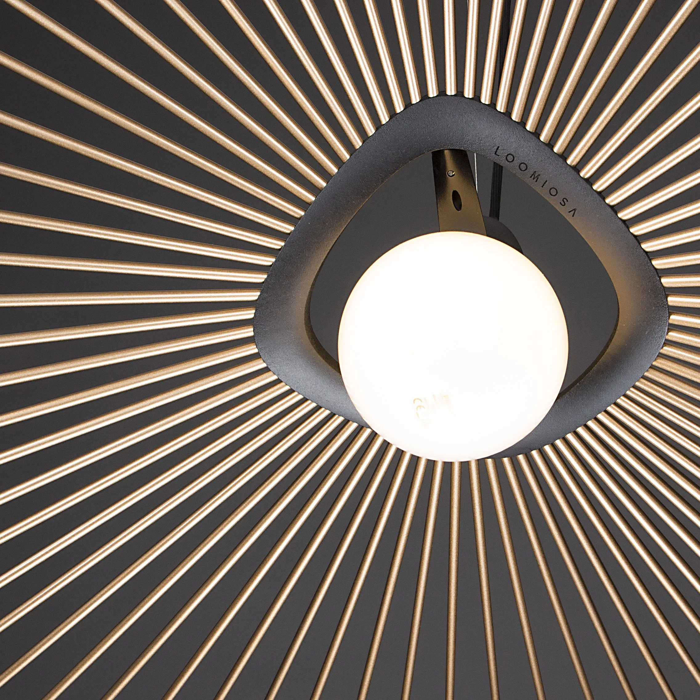 Model 8 pendant light, studio photo 1